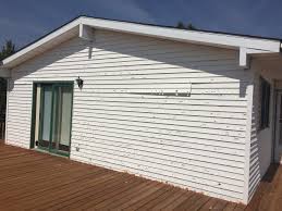 Best Custom Trim and Detailing for Siding  in Polo, IL